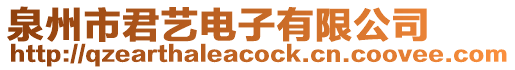 泉州市君藝電子有限公司