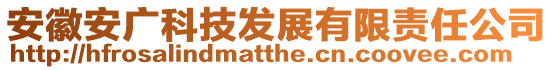 安徽安廣科技發(fā)展有限責(zé)任公司