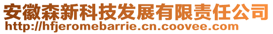 安徽森新科技發(fā)展有限責(zé)任公司