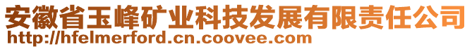 安徽省玉峰礦業(yè)科技發(fā)展有限責(zé)任公司