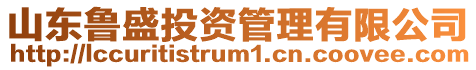 山東魯盛投資管理有限公司