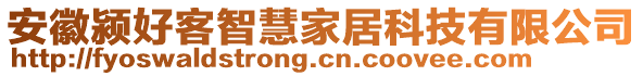 安徽潁好客智慧家居科技有限公司