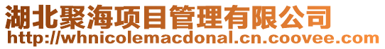 湖北聚海項目管理有限公司