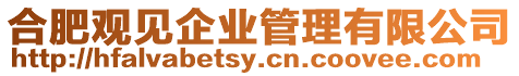 合肥觀見企業管理有限公司