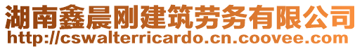湖南鑫晨剛建筑勞務有限公司