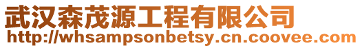 武漢森茂源工程有限公司