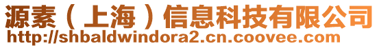 源素（上海）信息科技有限公司