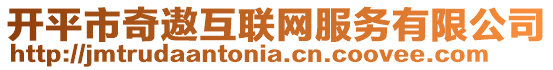 開平市奇遨互聯網服務有限公司