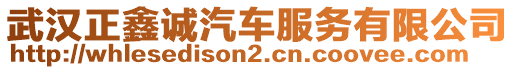 武漢正鑫誠汽車服務有限公司
