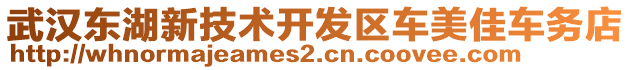 武漢東湖新技術(shù)開發(fā)區(qū)車美佳車務(wù)店