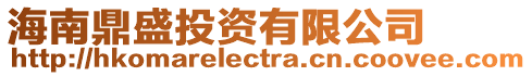 海南鼎盛投資有限公司