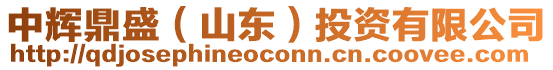 中輝鼎盛（山東）投資有限公司