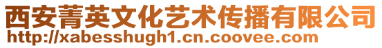 西安菁英文化藝術(shù)傳播有限公司