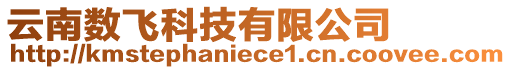 云南數飛科技有限公司