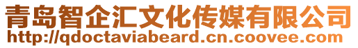 青島智企匯文化傳媒有限公司