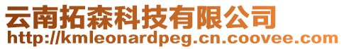 云南拓森科技有限公司