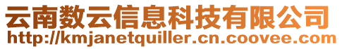 云南數云信息科技有限公司