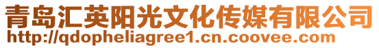 青島匯英陽光文化傳媒有限公司