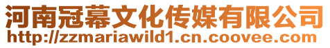 河南冠幕文化傳媒有限公司
