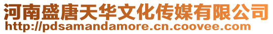 河南盛唐天華文化傳媒有限公司