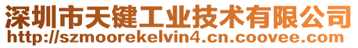 深圳市天鍵工業技術有限公司