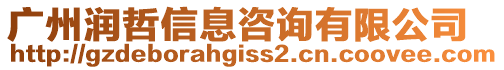 廣州潤哲信息咨詢有限公司