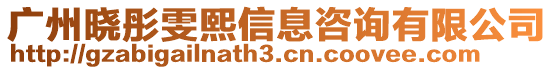 廣州曉彤雯熙信息咨詢有限公司