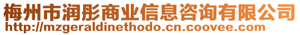 梅州市潤彤商業信息咨詢有限公司