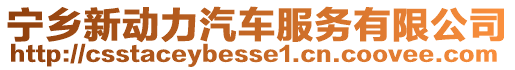 寧鄉新動力汽車服務有限公司