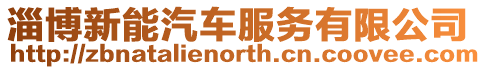 淄博新能汽車服務(wù)有限公司