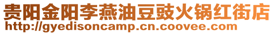 貴陽金陽李燕油豆豉火鍋紅街店