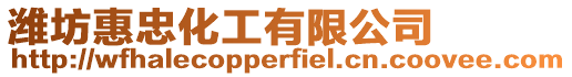 濰坊惠忠化工有限公司