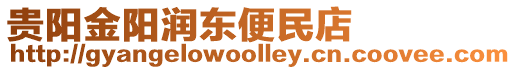 貴陽金陽潤東便民店