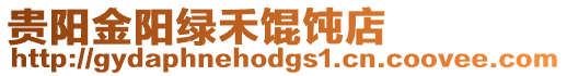 貴陽金陽綠禾餛飩店