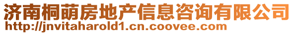 濟南桐萌房地產(chǎn)信息咨詢有限公司