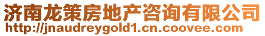 濟(jì)南龍策房地產(chǎn)咨詢有限公司