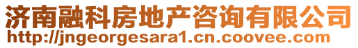 濟南融科房地產咨詢有限公司
