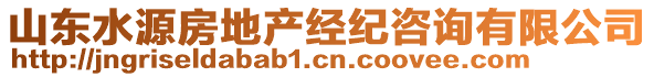 山東水源房地產(chǎn)經(jīng)紀咨詢有限公司