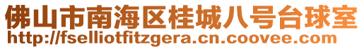 佛山市南海區(qū)桂城八號臺球室