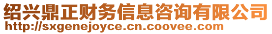 紹興鼎正財務信息咨詢有限公司