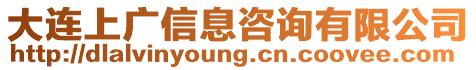 大連上廣信息咨詢有限公司