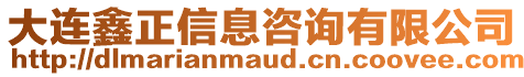 大連鑫正信息咨詢有限公司