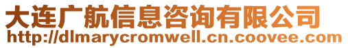 大連廣航信息咨詢有限公司