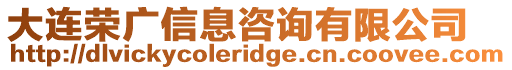 大連榮廣信息咨詢有限公司