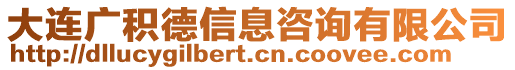 大連廣積德信息咨詢有限公司