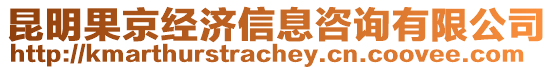 昆明果京經濟信息咨詢有限公司