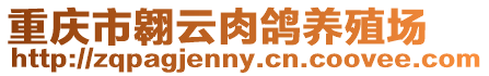 重慶市翱云肉鴿養殖場