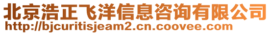 北京浩正飛洋信息咨詢有限公司