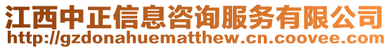 江西中正信息咨詢服務有限公司