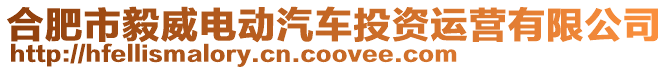 合肥市毅威電動汽車投資運營有限公司
